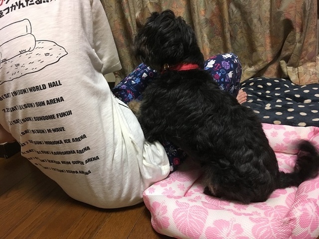 18061603.jpg