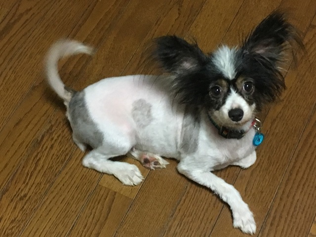 18070502.jpg
