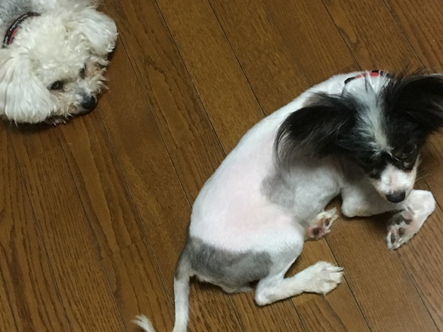 18070503.jpg