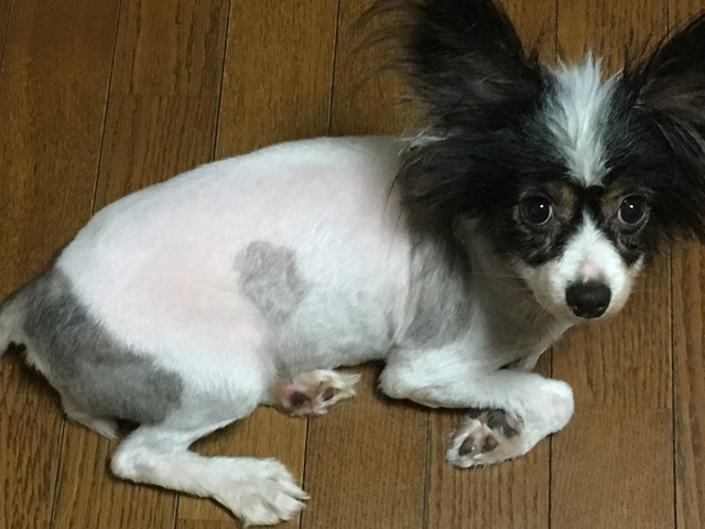 18070504.jpg