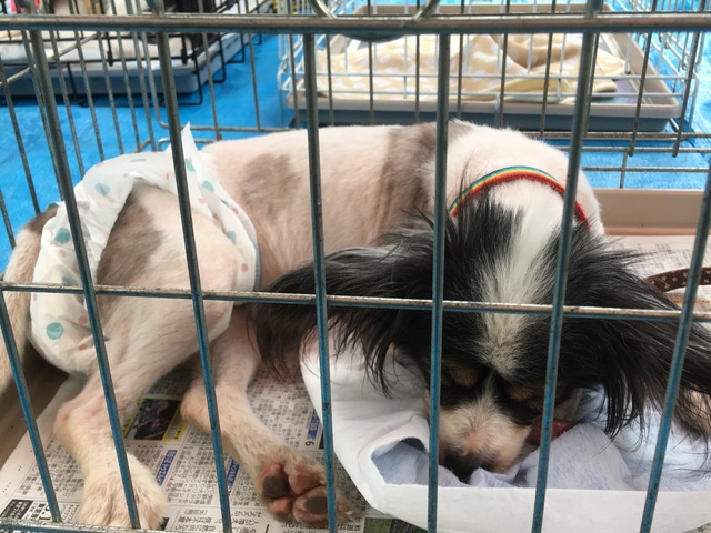18080102.jpg