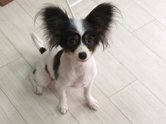 18090202.jpg