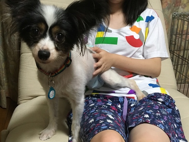 18090203.jpg