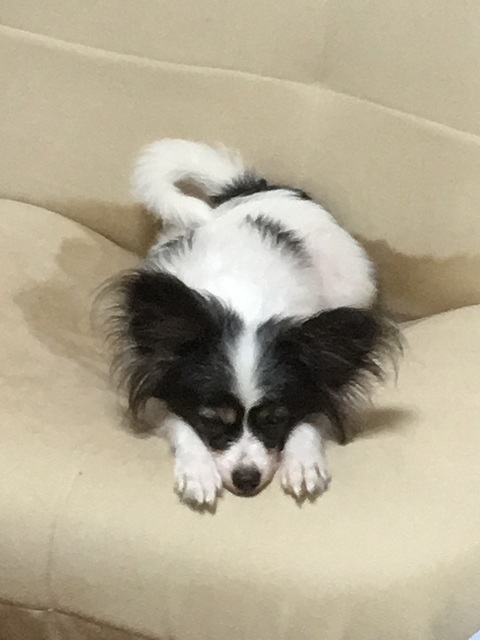 18101701.jpg