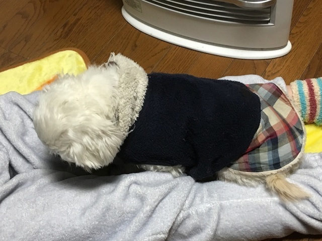 18121501.jpg