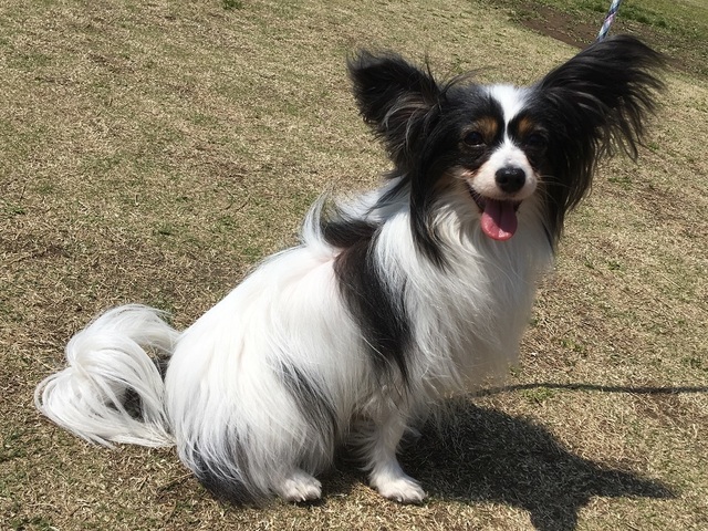 19040601.jpg