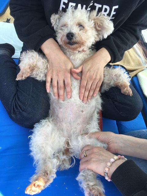 19040606.jpg