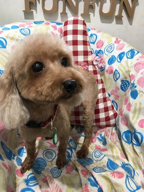 19041603.jpg