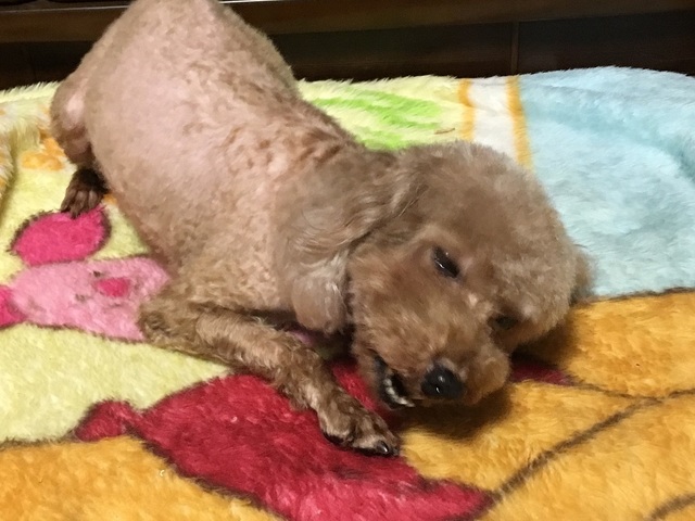 19041607.jpg