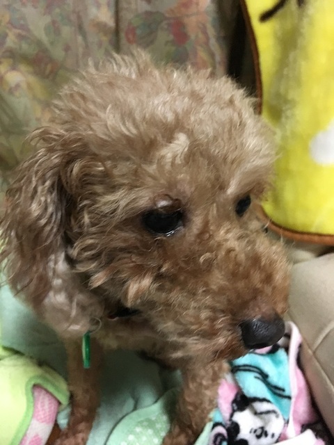 19050203.jpg