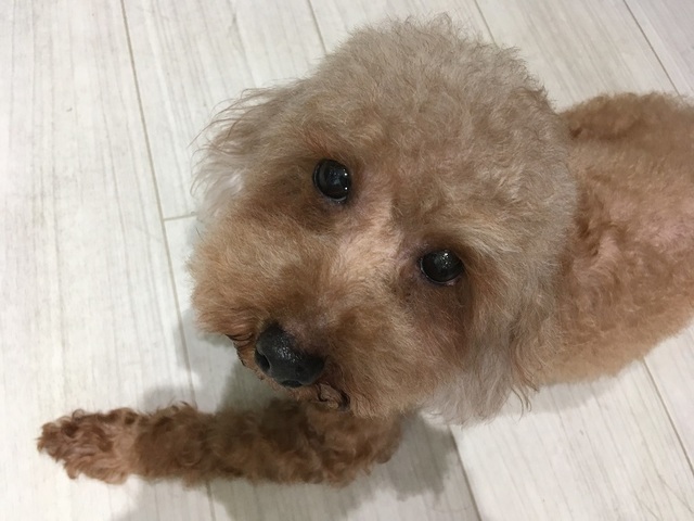 19060104.jpg