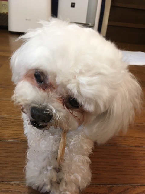 19060105.jpg