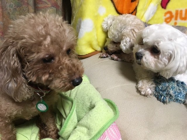 19060108.jpg