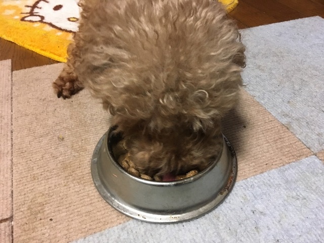 19060110.jpg