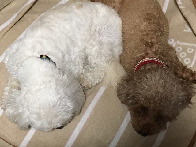19060111.jpg