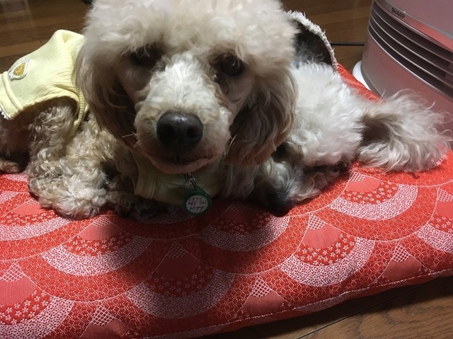 20010702.jpg