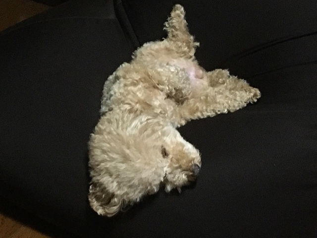 20060501.jpg