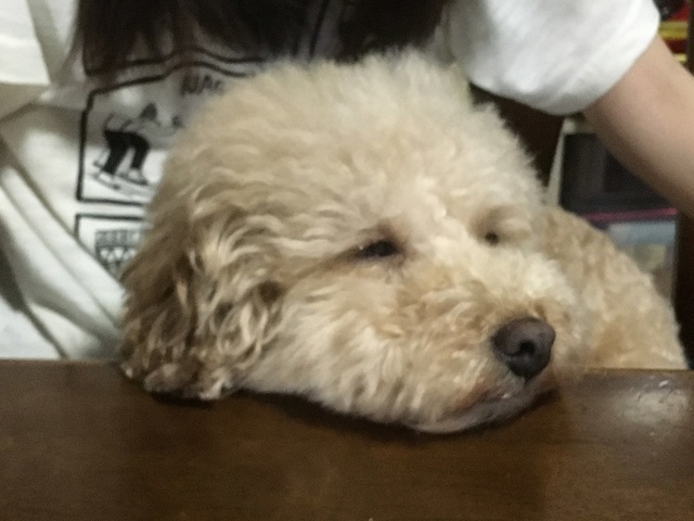 20060504.jpg