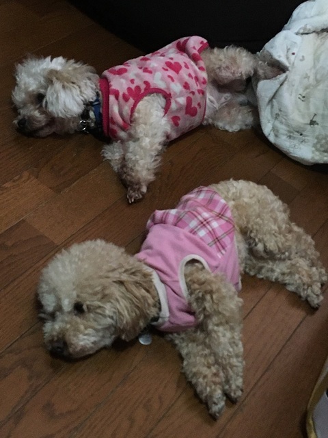 20060505.jpg