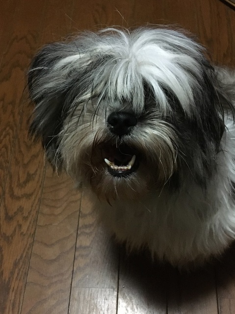 20070103.jpg