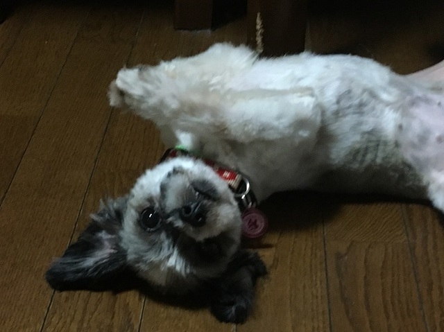 20070107.jpg