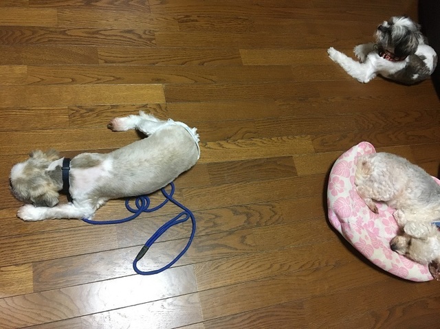 20101003.jpg