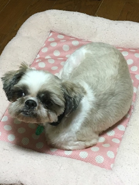 20101004.jpg