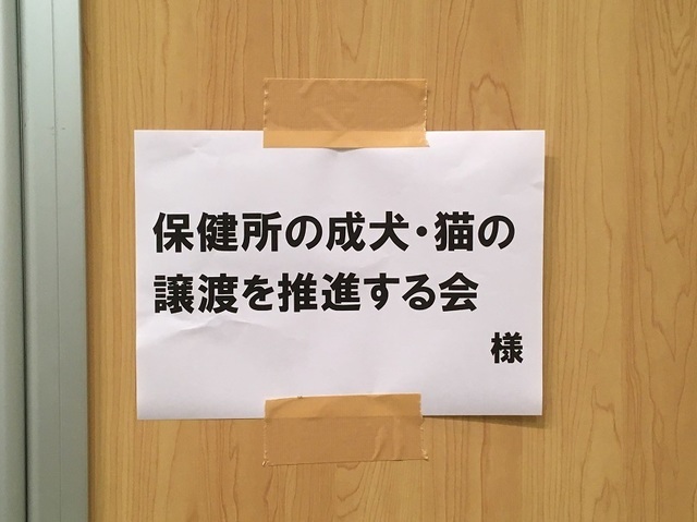 20110103.jpg