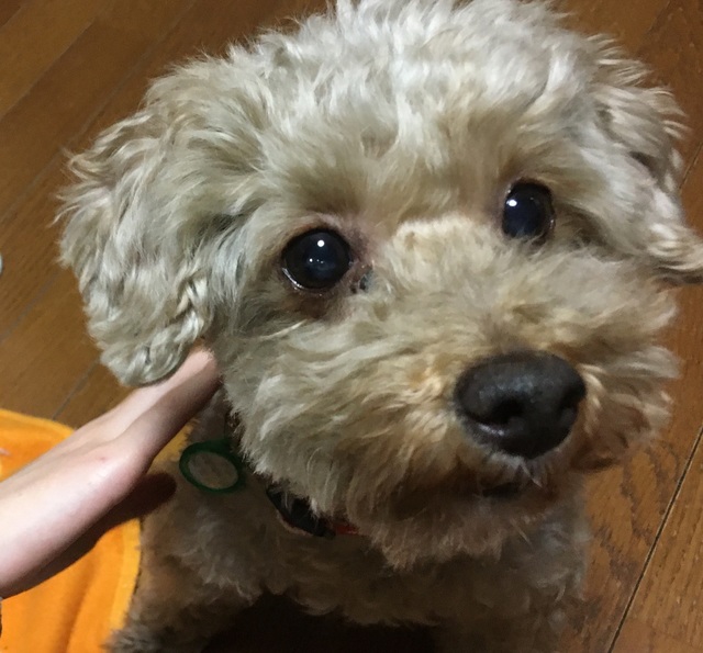 20122602.jpg