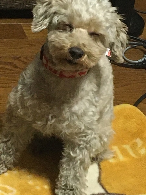 20122603.jpg