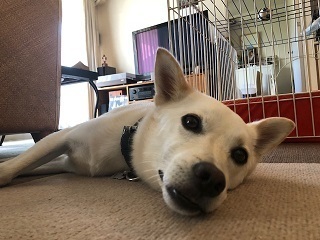 20福嶋チャック (4)ブログ用.jpg