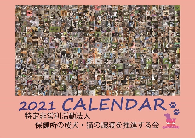 calendar2021.jpg